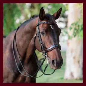 Halter Ego® Custom Double Bridle FLAT RATE Labor Day Special!