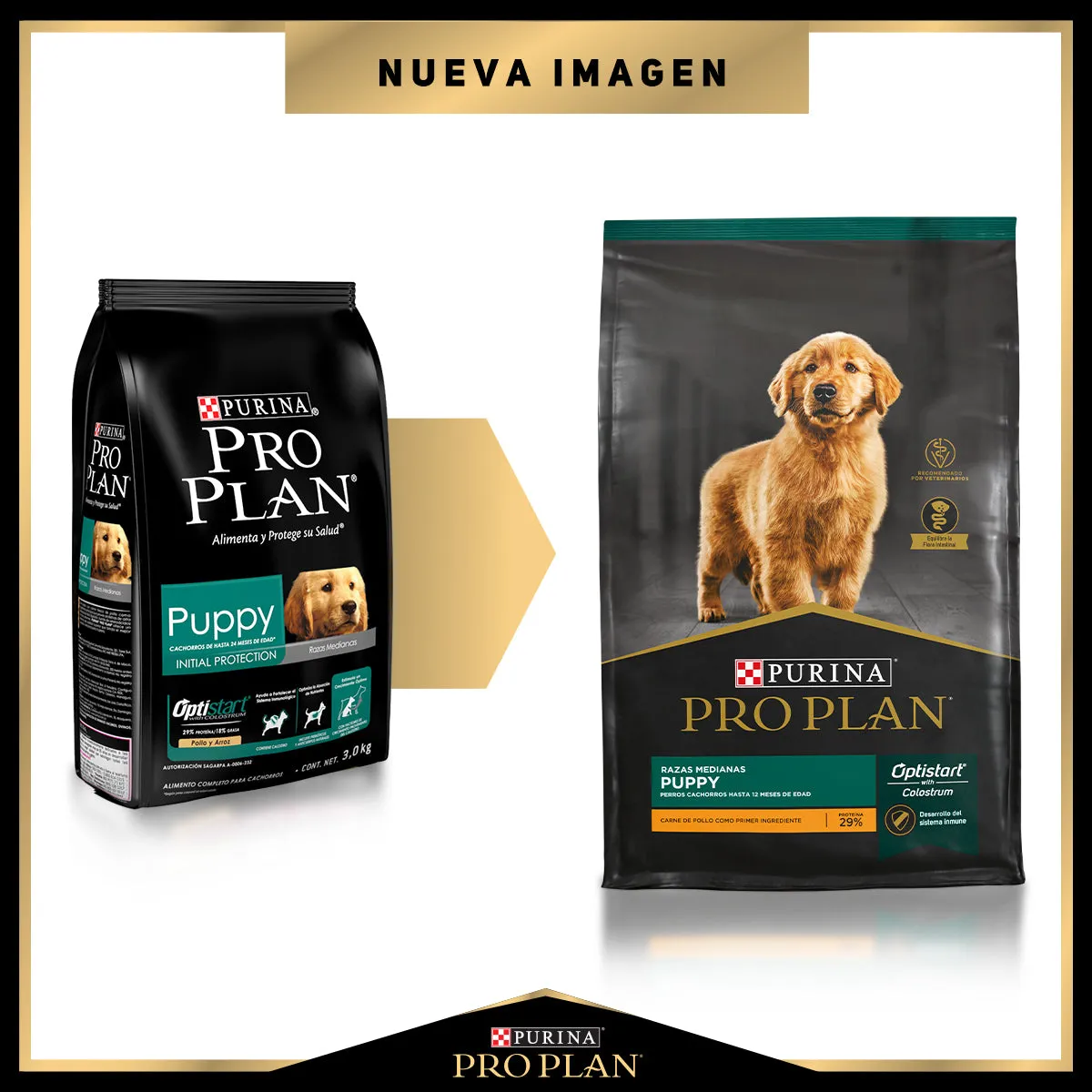 Pro Plan Puppy Complete (Razas Medianas)