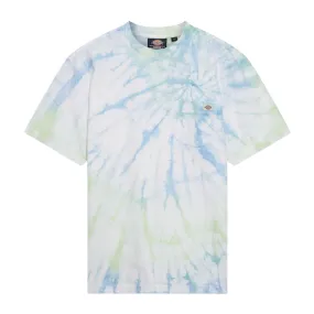 T-shirt Dickies Seatac Verde Multicolor