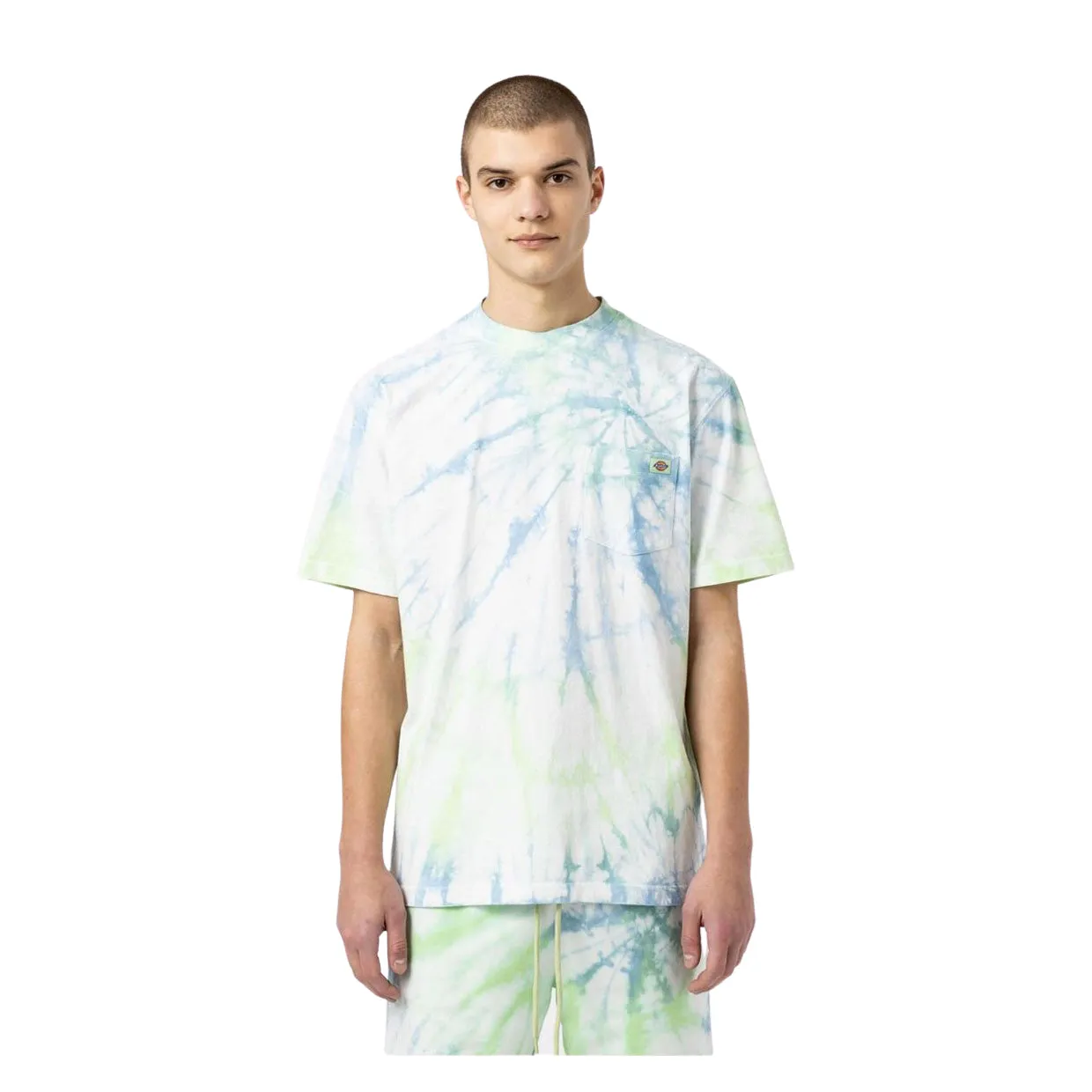 T-shirt Dickies Seatac Verde Multicolor