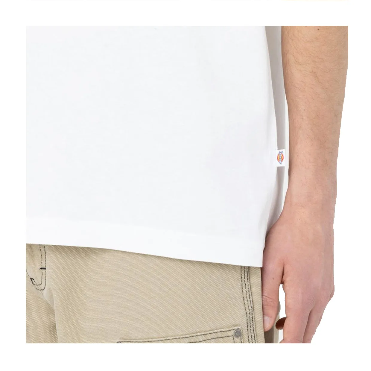 T-shirt Uomo Dickies Summerdale Bianco