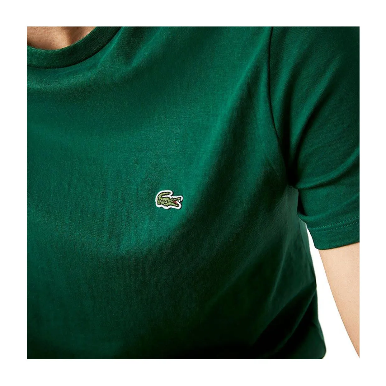 T-shirt Uomo Lacoste Girocollo Verde